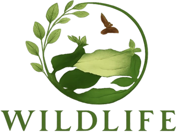 Wildlife and Ecology logo